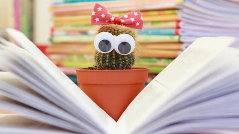 Jak oszczędzać na przyszłą edukację dzieci?