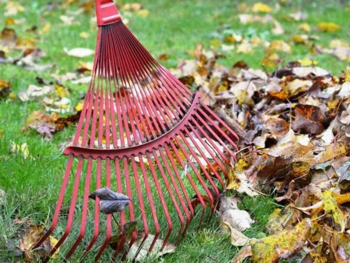 Jak zaplanować generalne sprzątanie mieszkania? Przewodnik krok po kroku