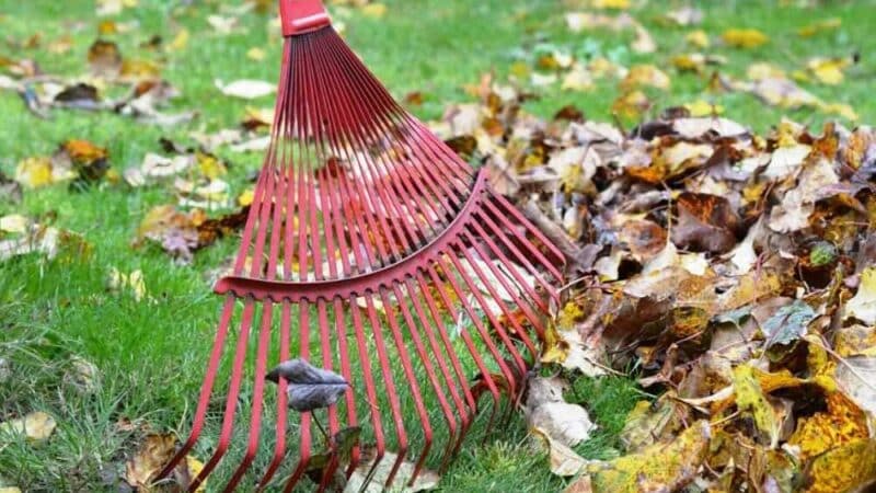 Jak zaplanować generalne sprzątanie mieszkania? Przewodnik krok po kroku