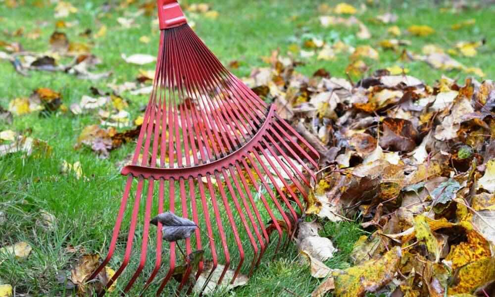 Jak zaplanować generalne sprzątanie mieszkania? Przewodnik krok po kroku