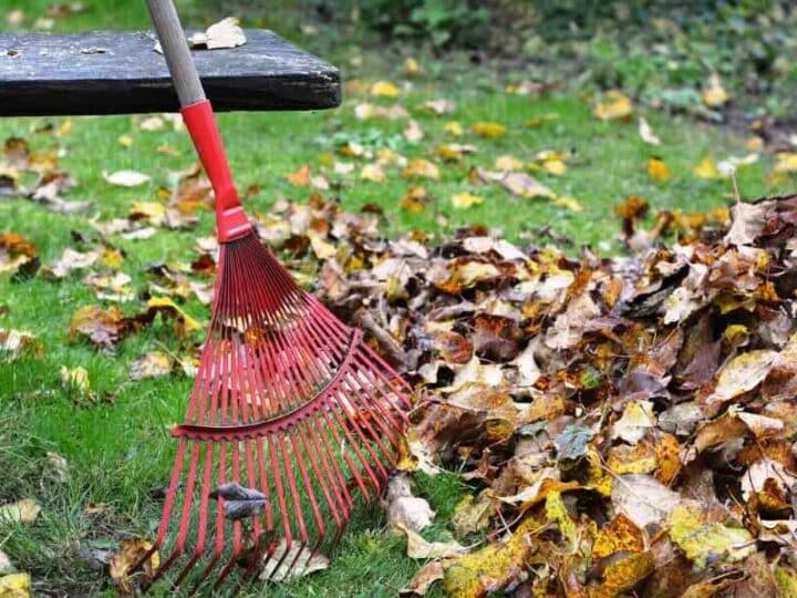 Jakie akcesoria pomagają w codziennych porządkach?