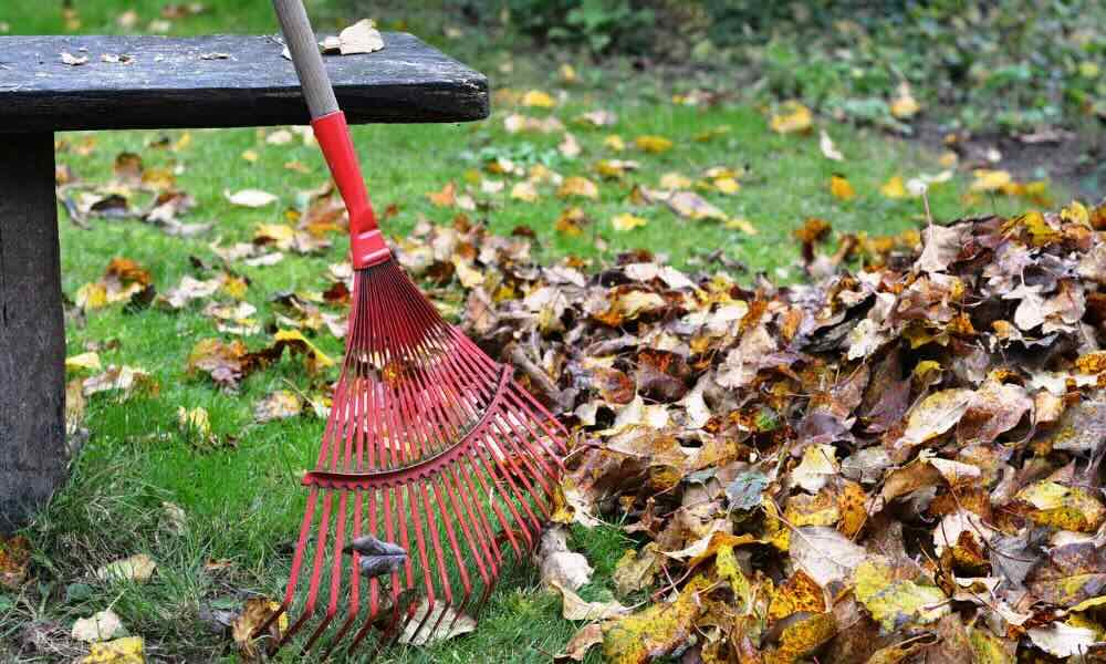 Jakie akcesoria pomagają w codziennych porządkach?